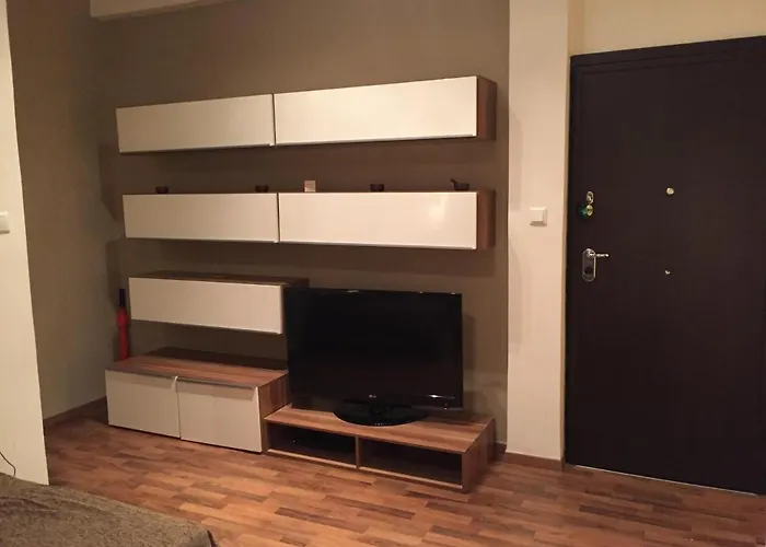 Spectacular View 公寓